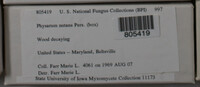 Physarum nutans image